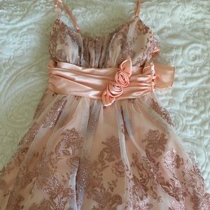 Blush Satin Semi/Formal Dress